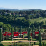 Individuelle Wandertouren in Wien