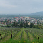 Radtour rund um Wien Weingärten