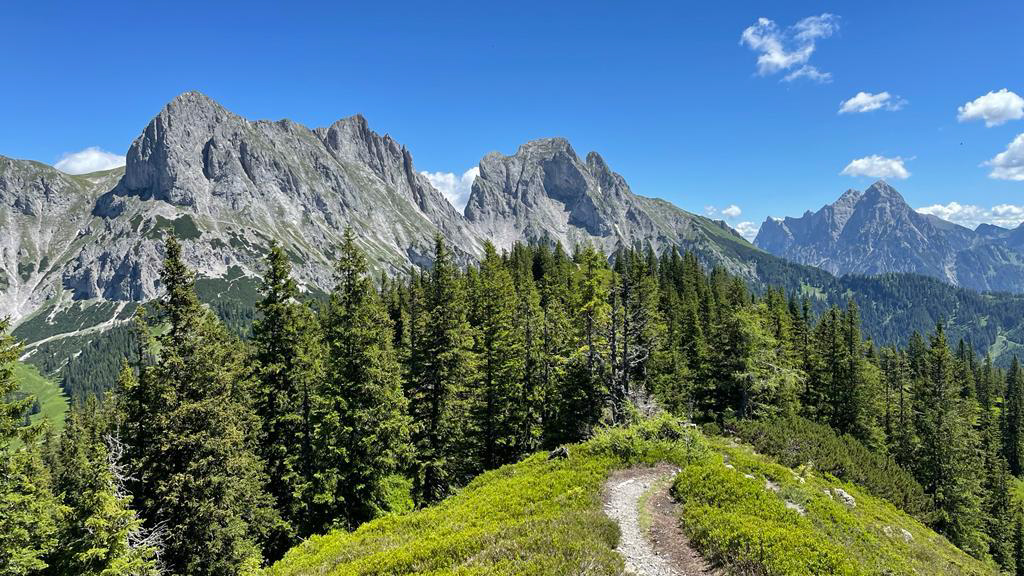 karin-sendele-wandern-in-der-natur