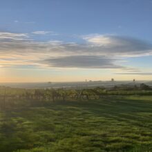 wien-wanderweg-2-1-1-g wien-wanderweg-2-1-1-g