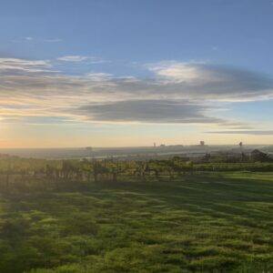 wien-wanderweg-2-1-1-g