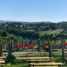 wien-wanderweg-2_1-g wien-wanderweg-2_1-g