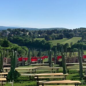 wien-wanderweg-2_1-g