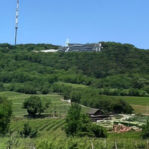 wien-wanderweg-2_2-g