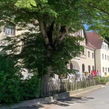 wien-wanderweg-4-1-g