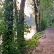 wien-wanderweg-6-1-g