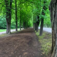 wien-wanderweg-6-2-g