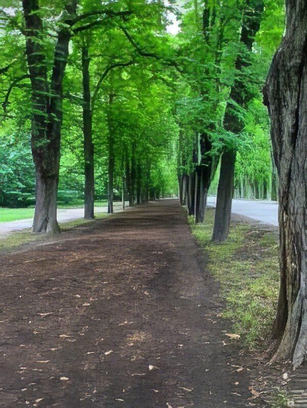 wien-wanderweg-6-2-g